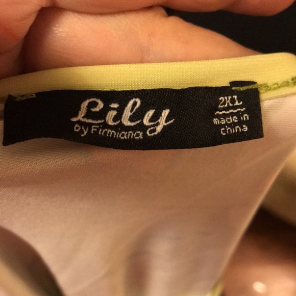 Lily by Firmiana size 2xl tunic/midi dress - Picture 4 of 4